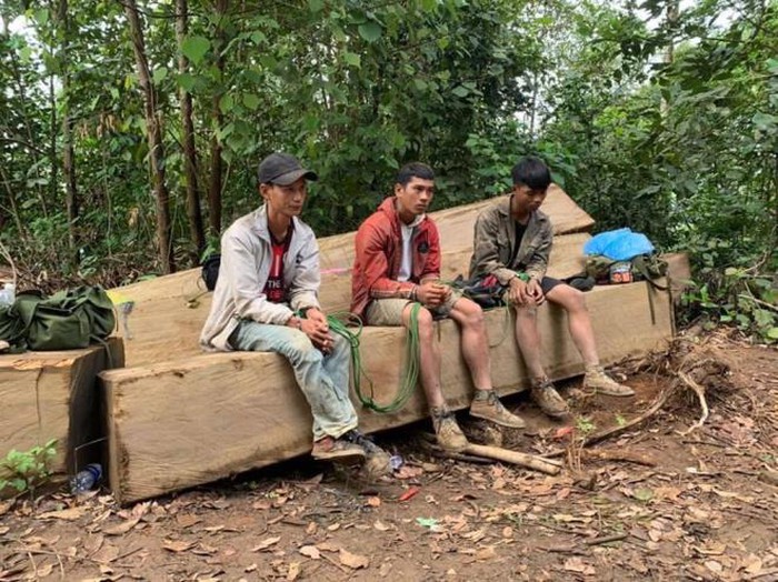 Hòa Lễ - Krông Bông: Công an mật phục bắt quả tang nhóm lâm tặc phá rừng nguyên sinh