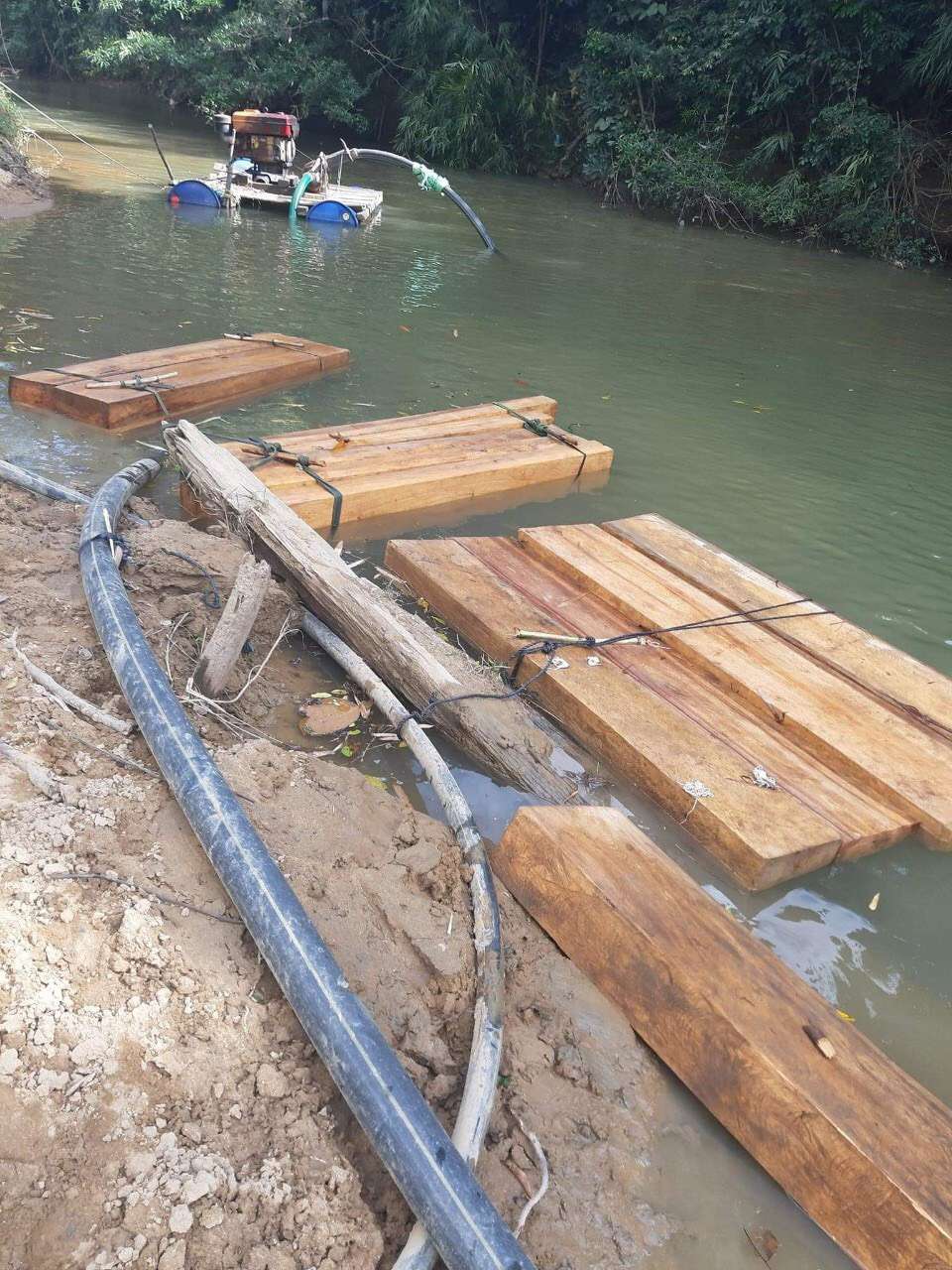 Cư Đrăm - Krông Bông: Công an vây bắt lâm tặc phá rừng gỗ pơ mu giữa Tết Nguyên đán Tân Sửu 2021 | Tin tức Krông Bông